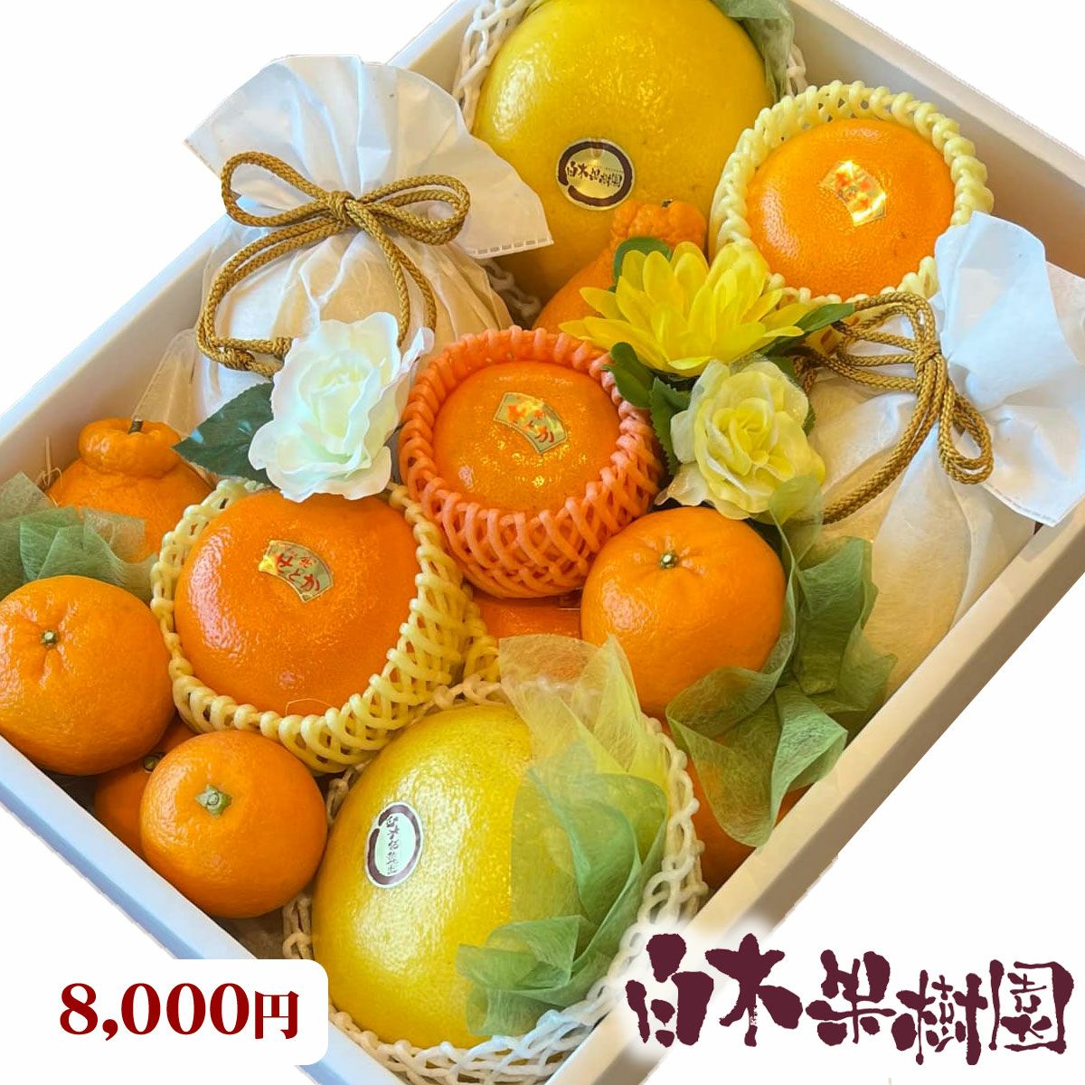 オーダメイドフルーツセットF