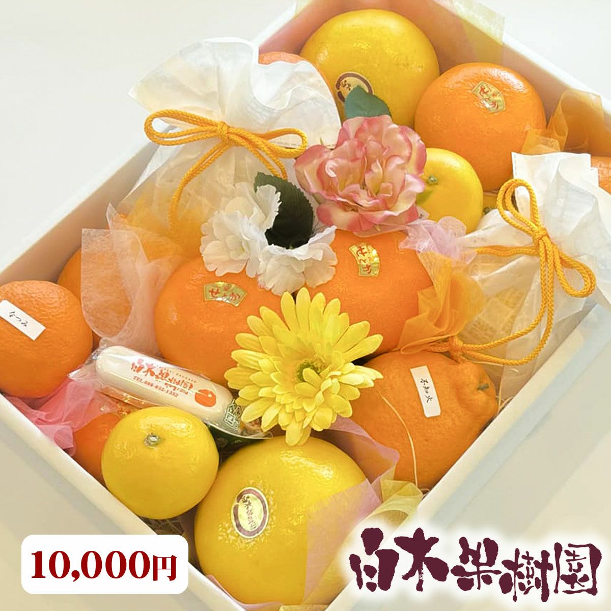 白木果樹園オーダーメイドフルーツセット G（フルーツ詰め合わせ