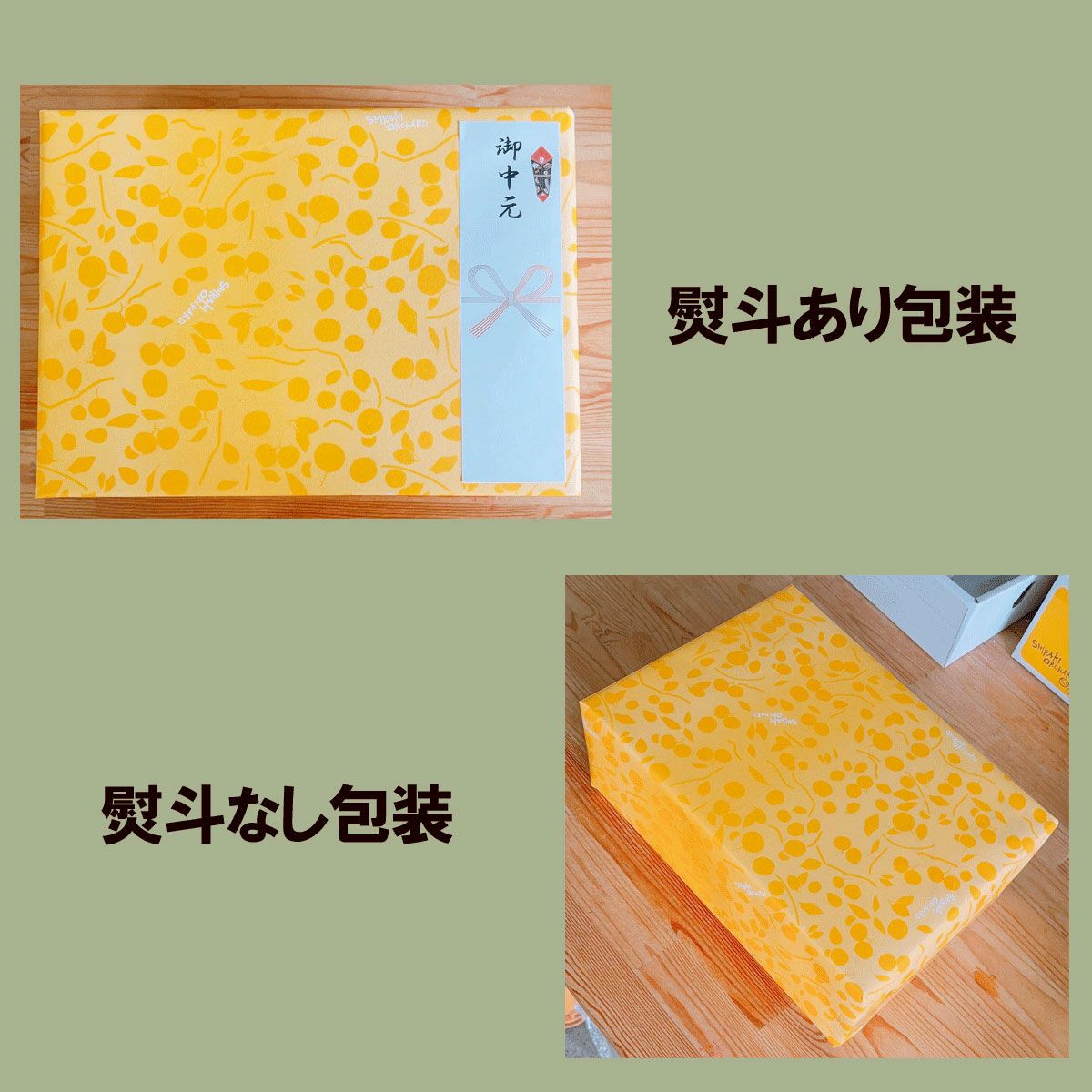 白木果樹園オーダーメイドフルーツセット G（フルーツ詰め合わせ