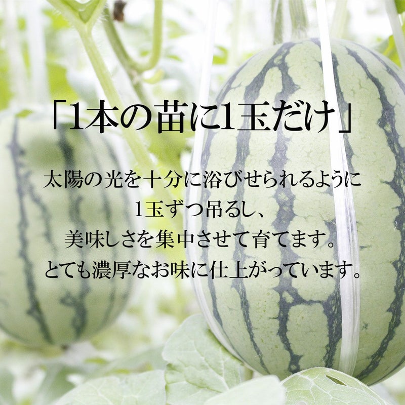 1本の苗に1つだけ