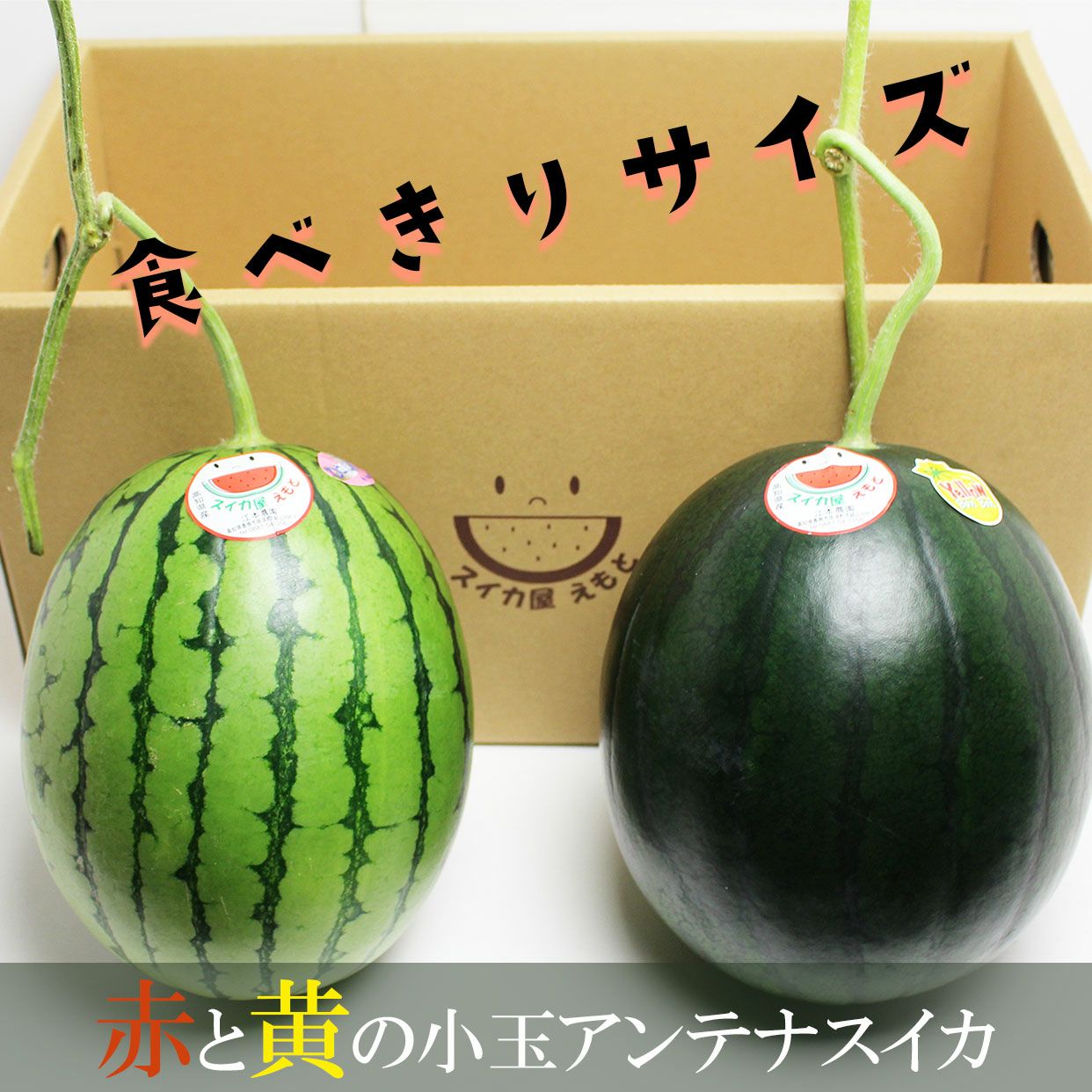 2. ☆朝採れ☆ 青森県産 【ひとりじめ】小玉スイカ 農家直送 6