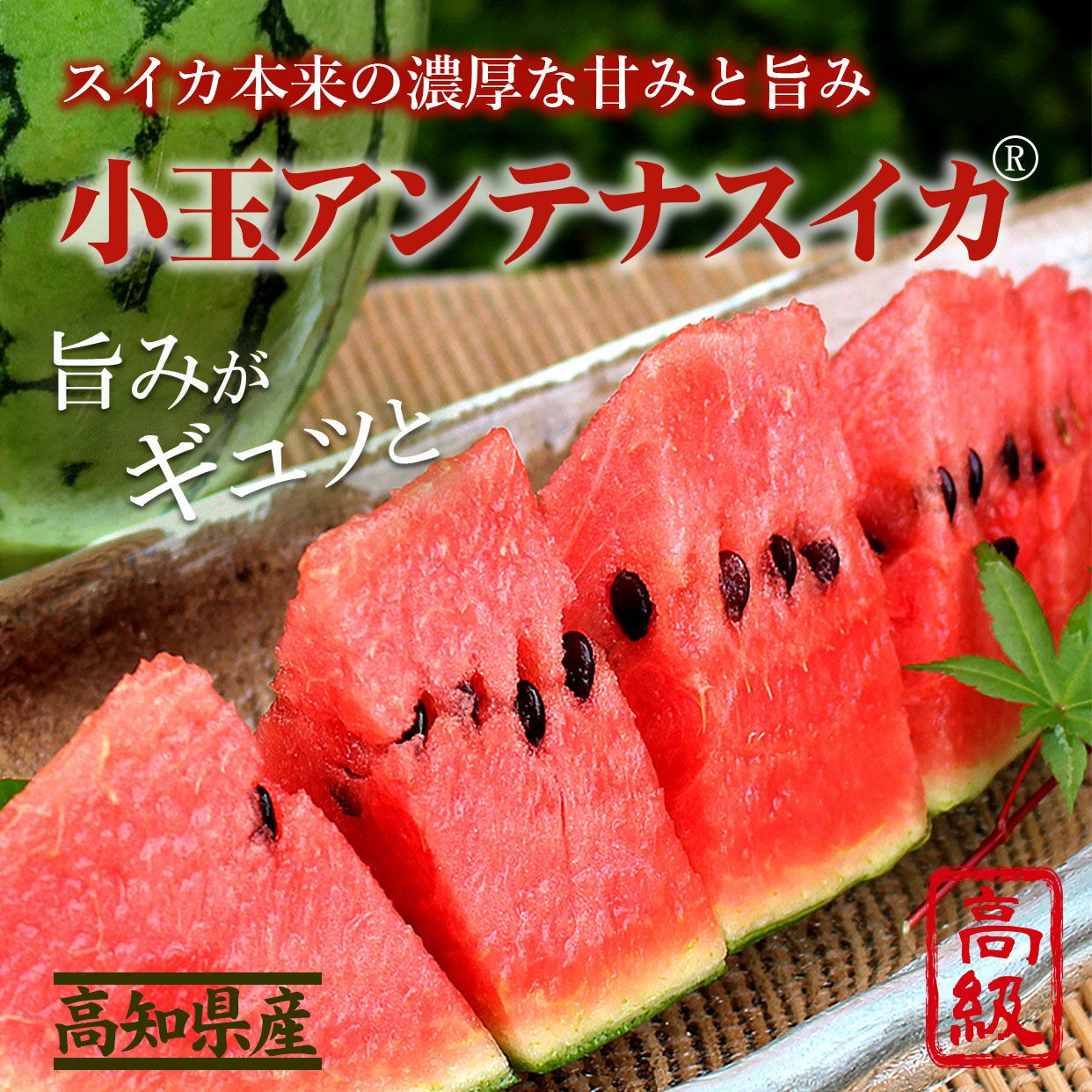 小玉アンテナスイカ 2玉ギフト箱入り夏のひとりじめ【送料込】 | 白木