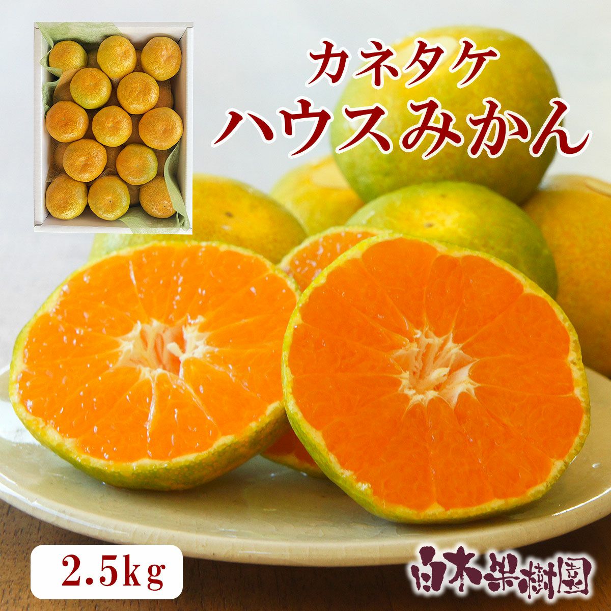 特選秀品カネタケハウスみかん約2.5kg【送料込】【数量限定】 | 白木果樹園