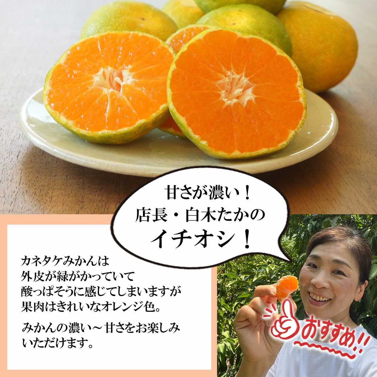 特選秀品カネタケハウスみかん約2.5kg【送料込】【数量限定】 | 白木果樹園