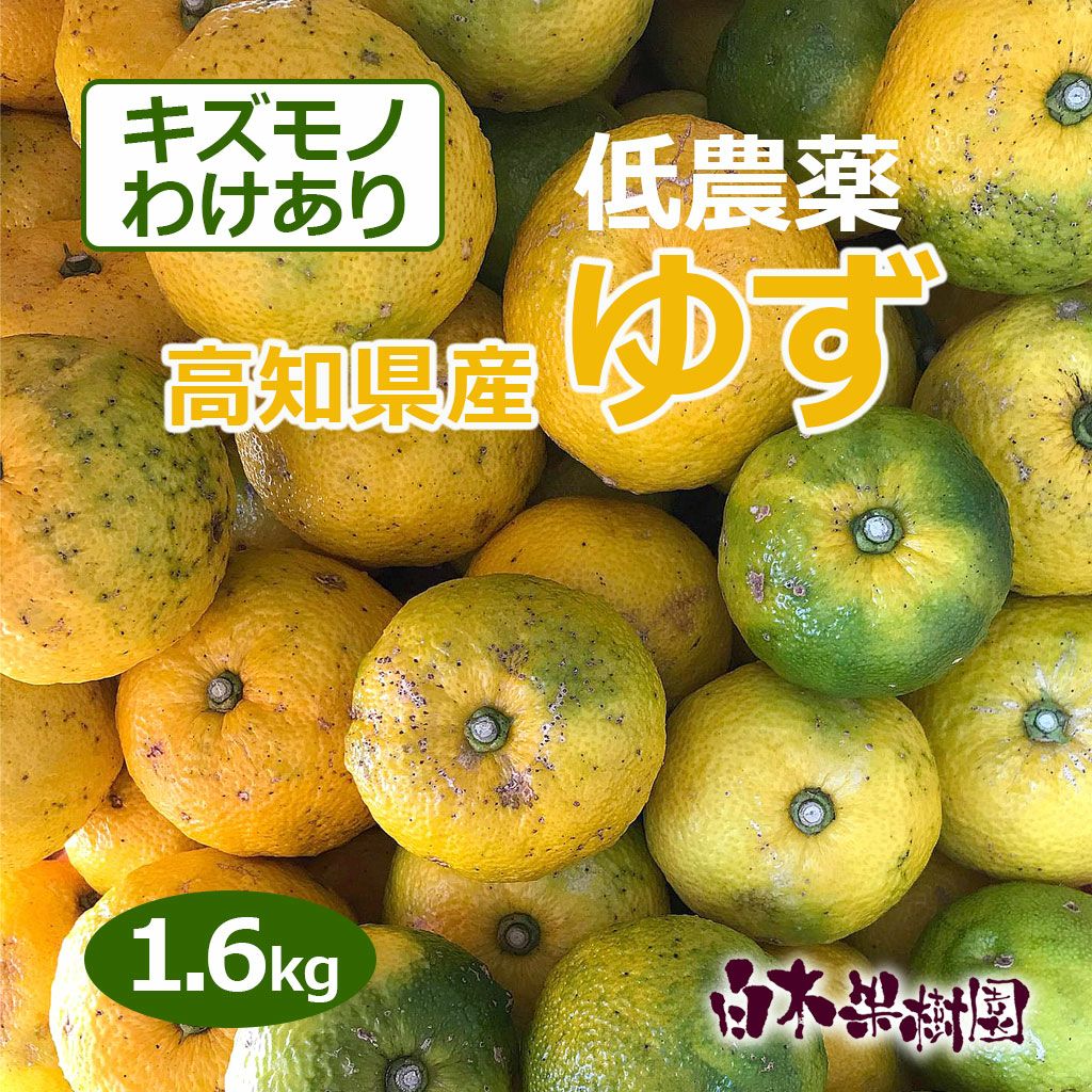 減農薬高知県産ゆず（柚子）わけありキズモノ約1.6kg【送料込】 | 白木