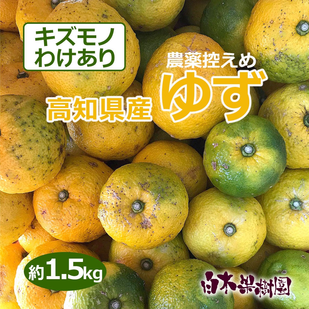 わけありキズモノゆず（柚子） 約1.5kg
