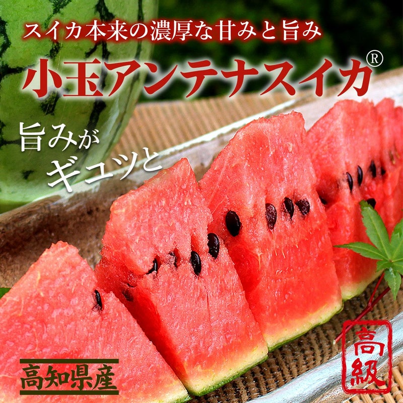 アンテナスイカ