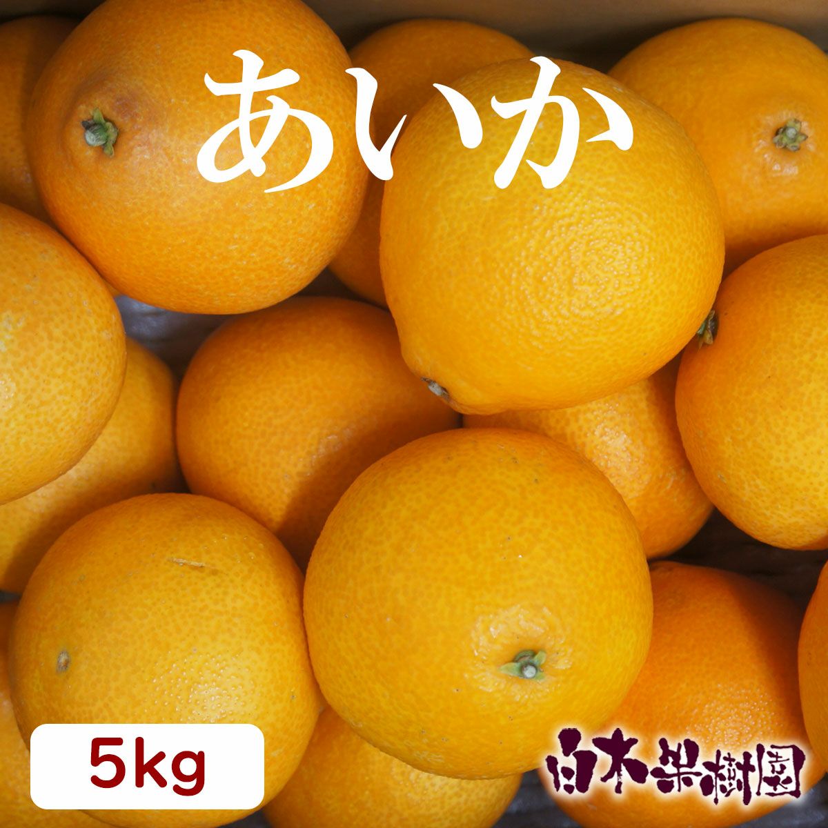 送料込】あいか約5kg 【ギフト対象外】 | 白木果樹園
