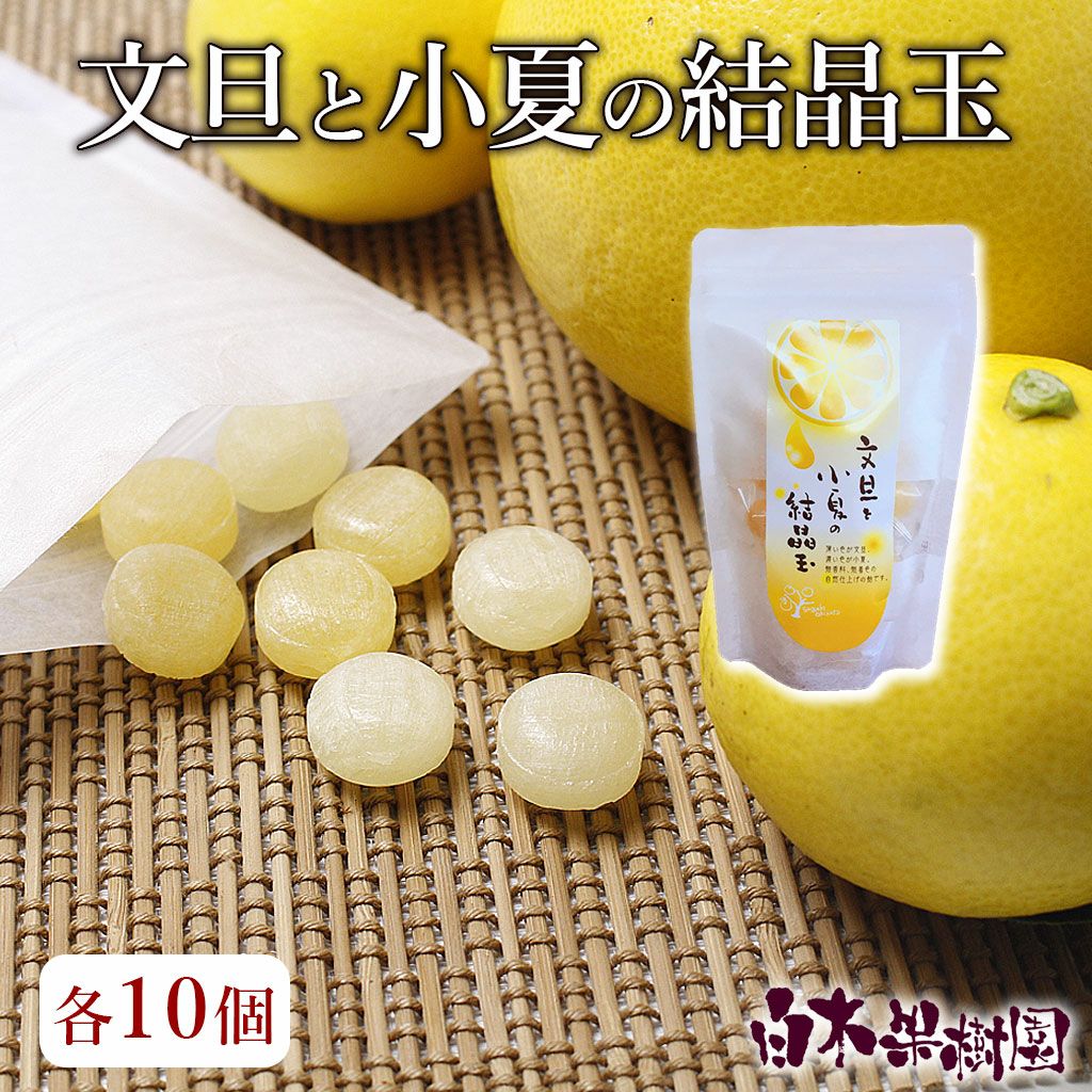 文旦 水晶文旦 みかん 好きに 81 翠然フルーツ〉伊良湖 水晶文旦