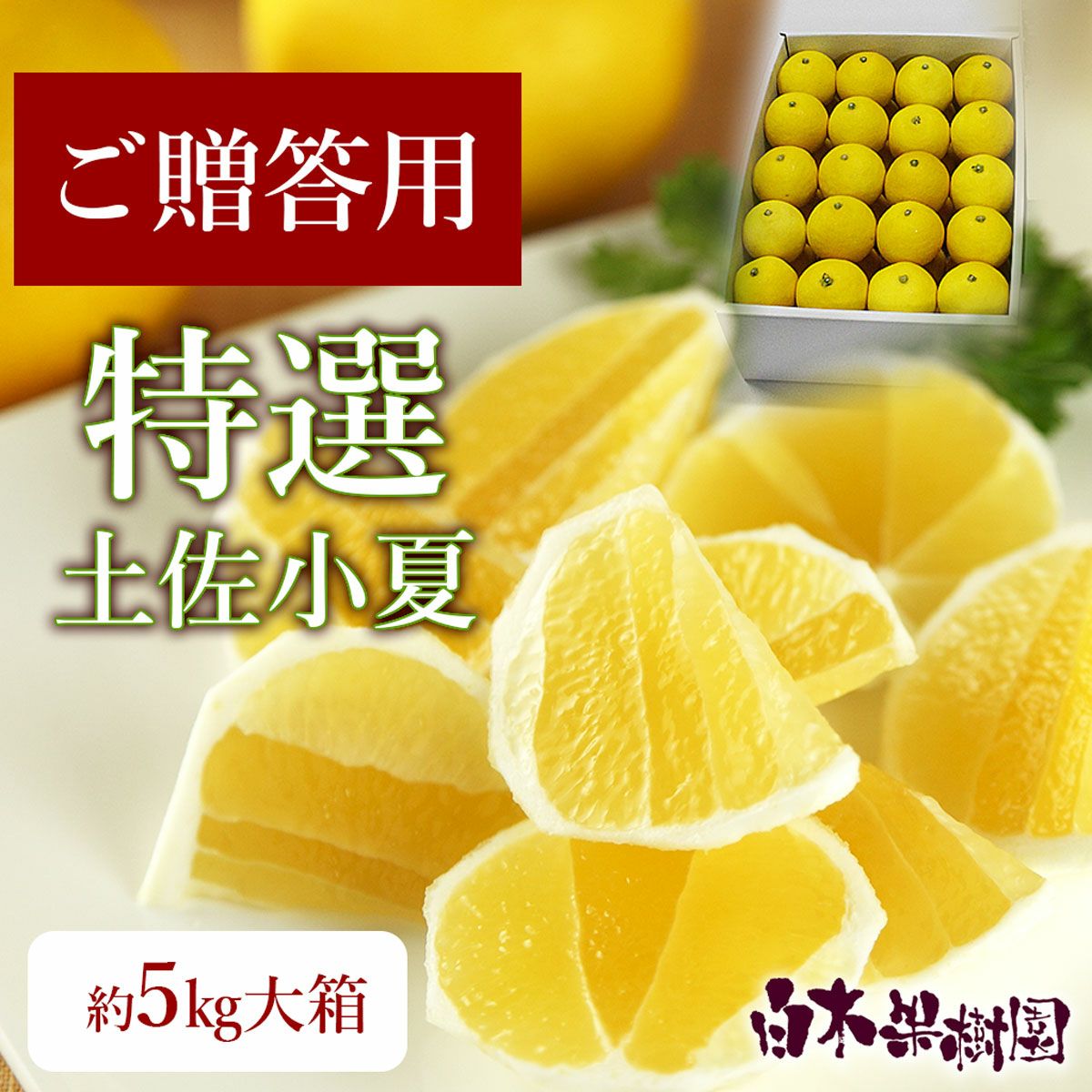 小夏（こなつ）