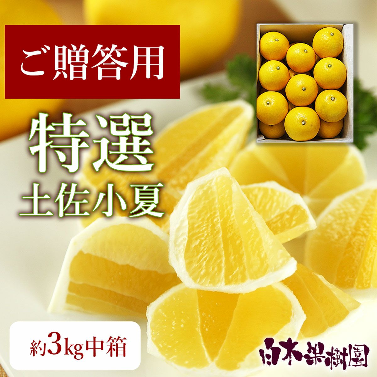 特選土佐小夏 中箱