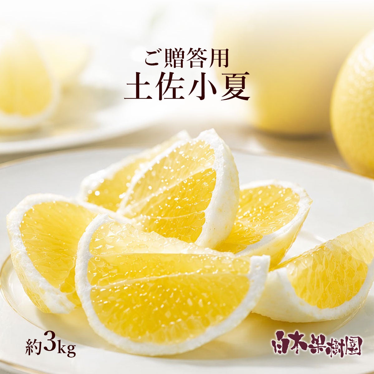小夏カット