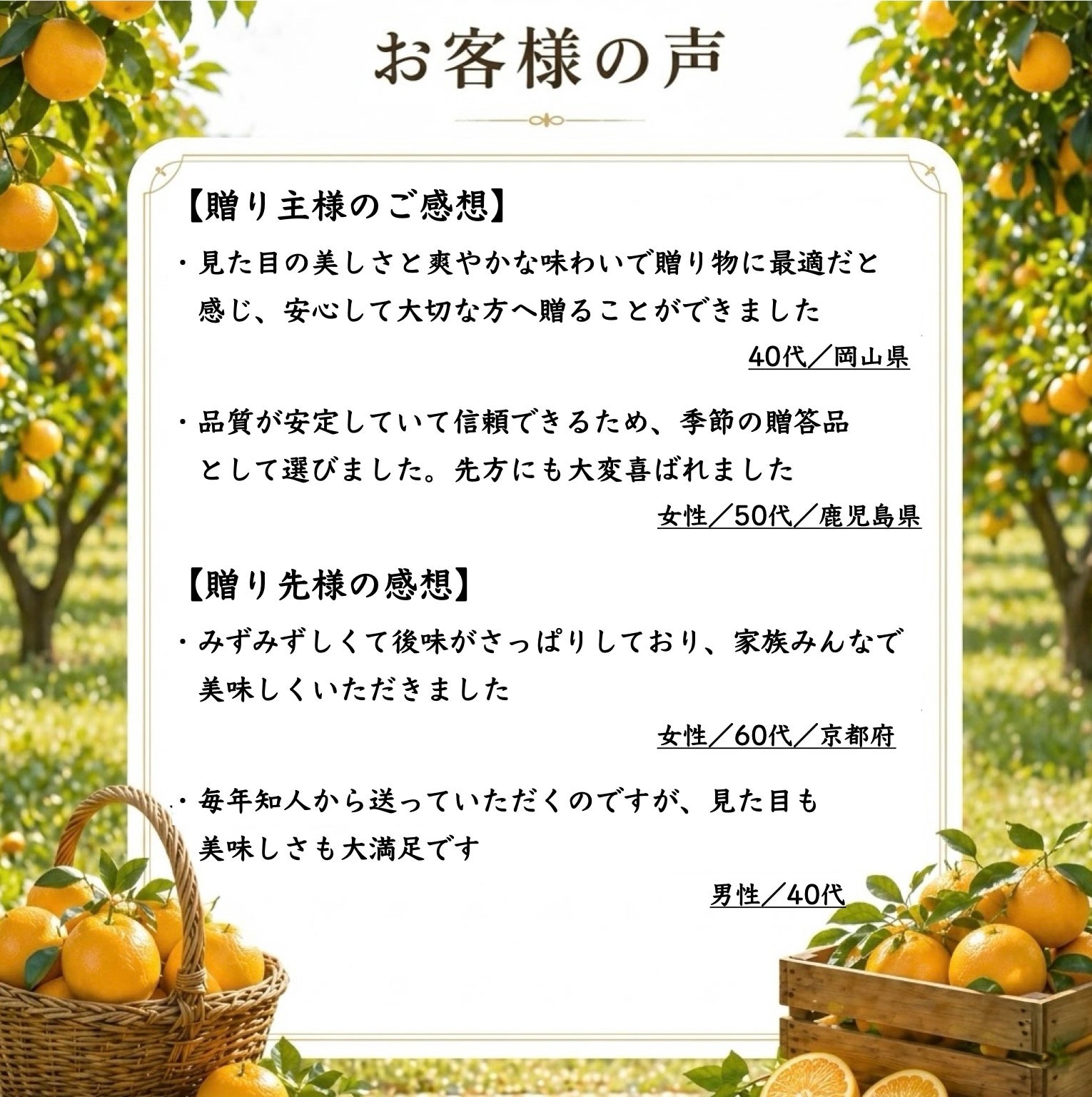 特選土佐小夏約3kg（小夏）（日向夏）（ニューサマーオレンジ）（西内