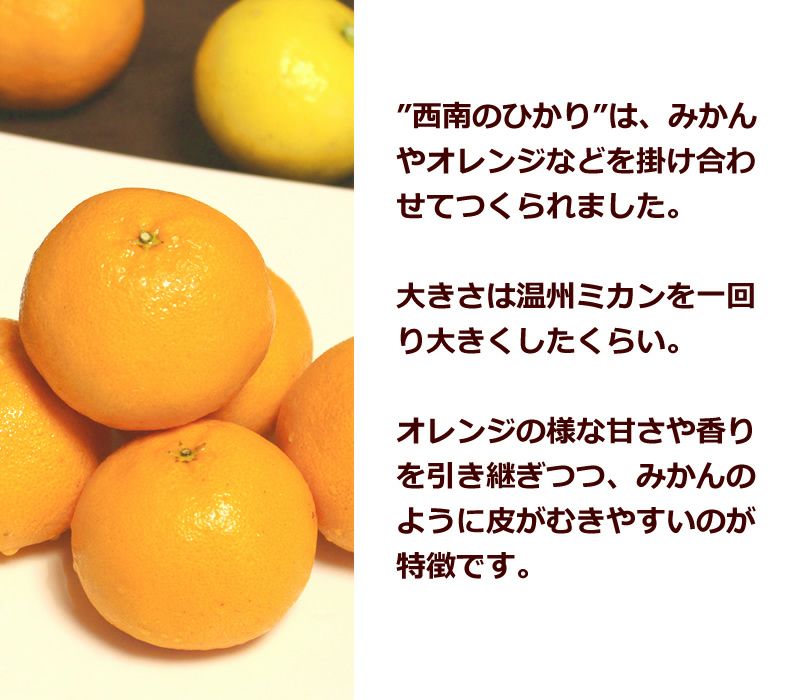 西南のひかり3kg(20-30個）大小混合 | 白木果樹園