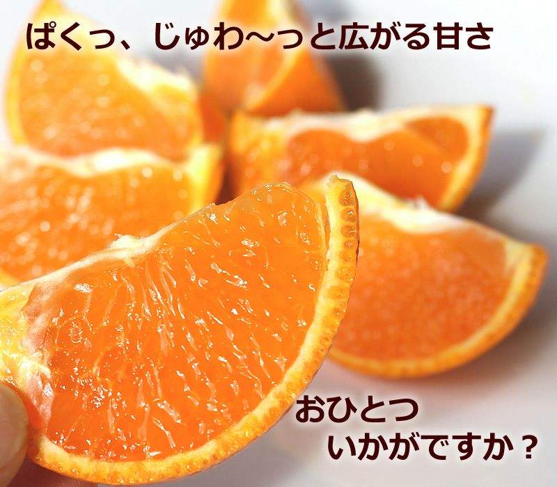 西南のひかり3kg(20-30個）大小混合 | 白木果樹園