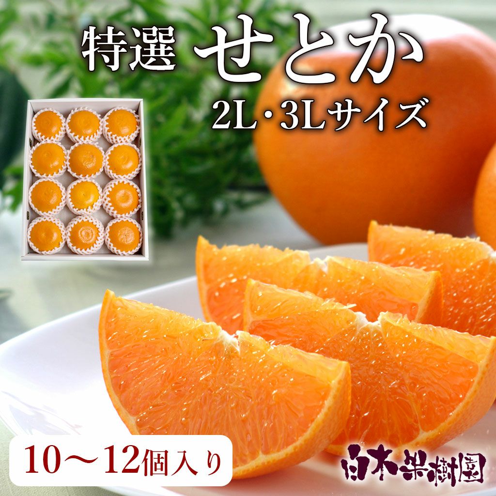 特選せとかご贈答用 2L・3Lサイズ
