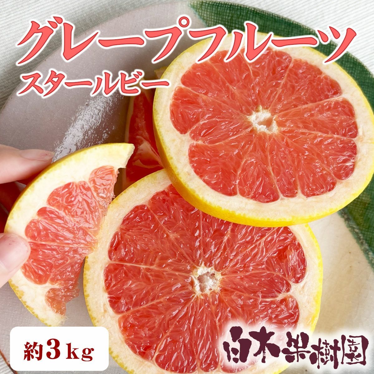 グレープフルーツ | 白木果樹園