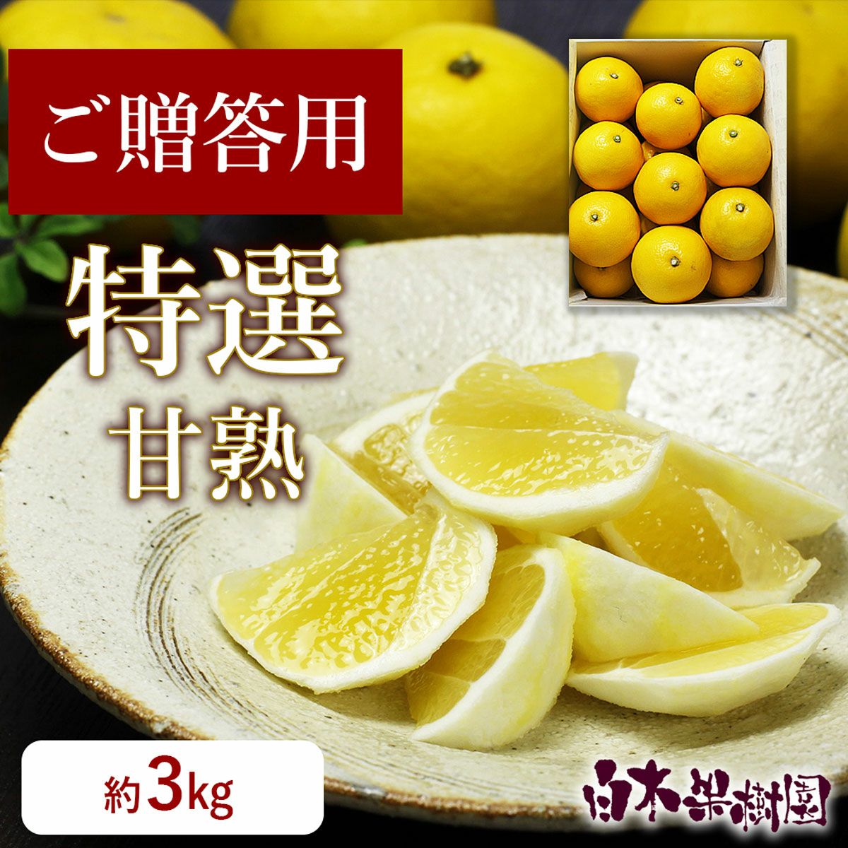 園主のおすすめ