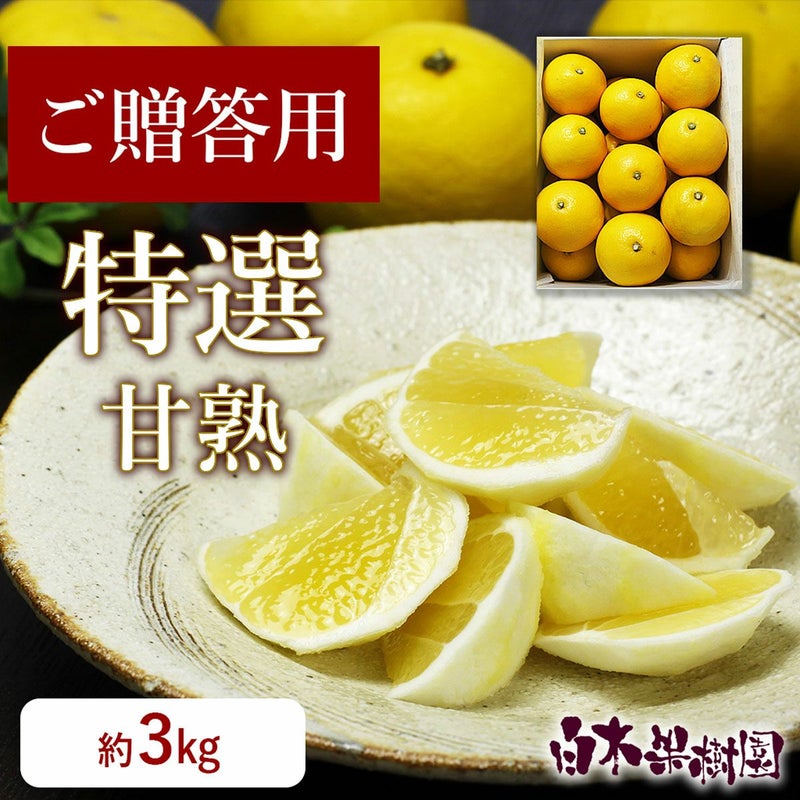 特選甘熟小夏 中箱