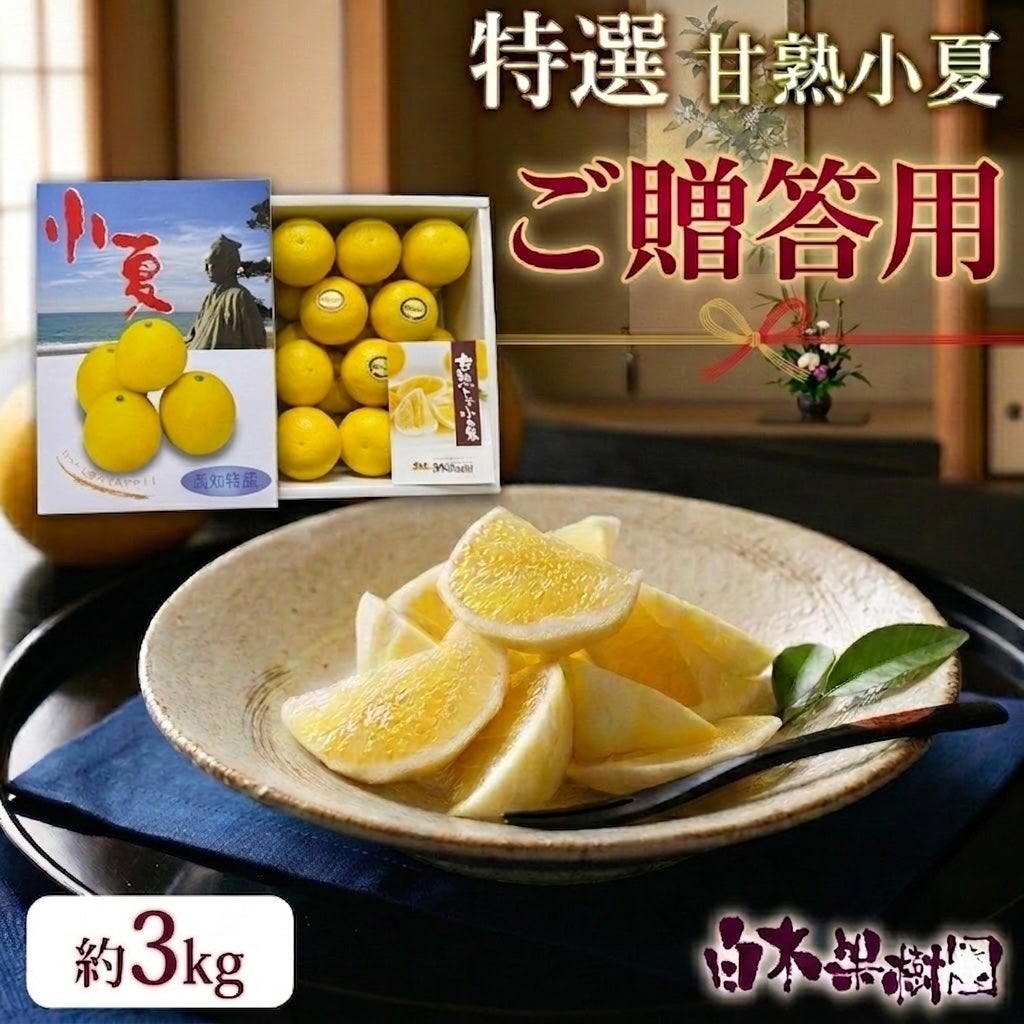 特選甘熟小夏 中箱