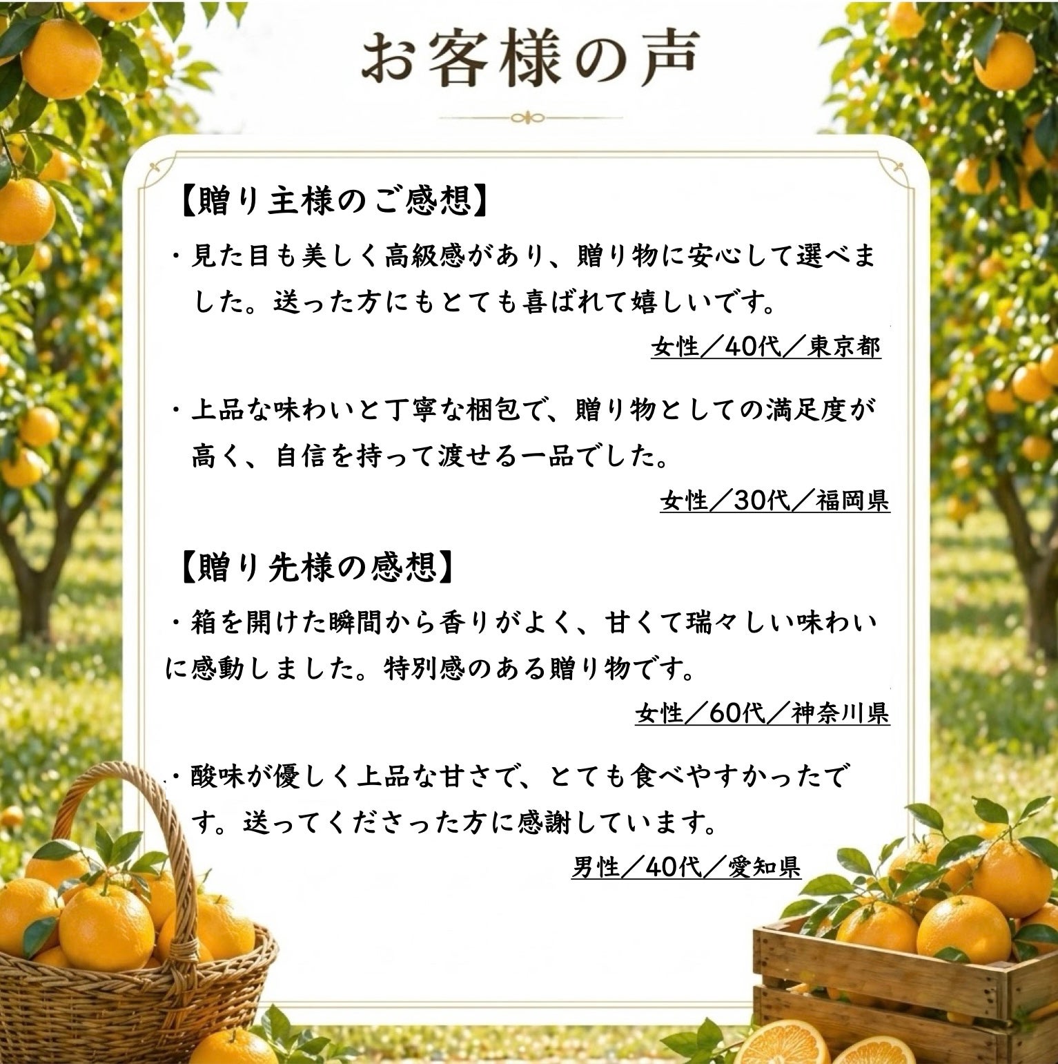 特選甘熟とさ小夏約3㎏（小夏）（日向夏）（ニューサマーオレンジ