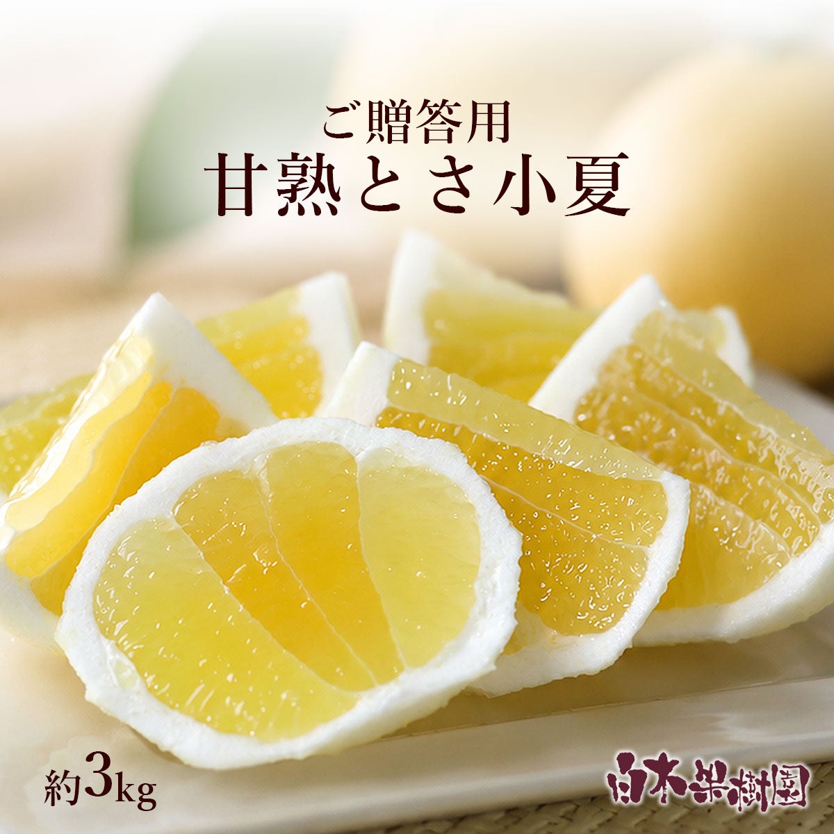 特選甘熟とさ小夏約3㎏（小夏）（日向夏）（ニューサマーオレンジ