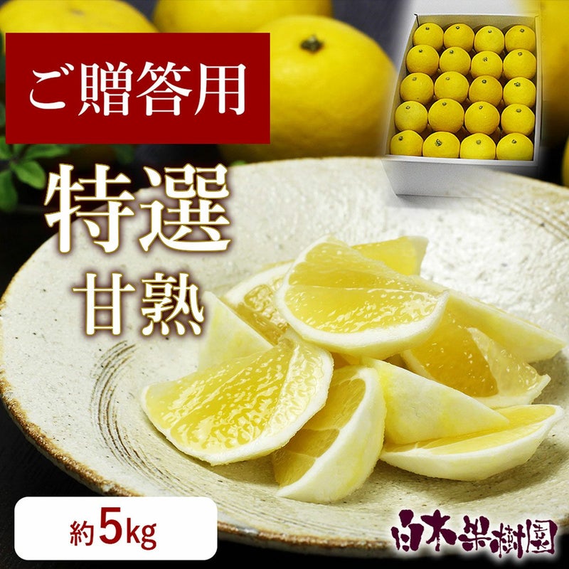 特選甘熟小夏 大箱