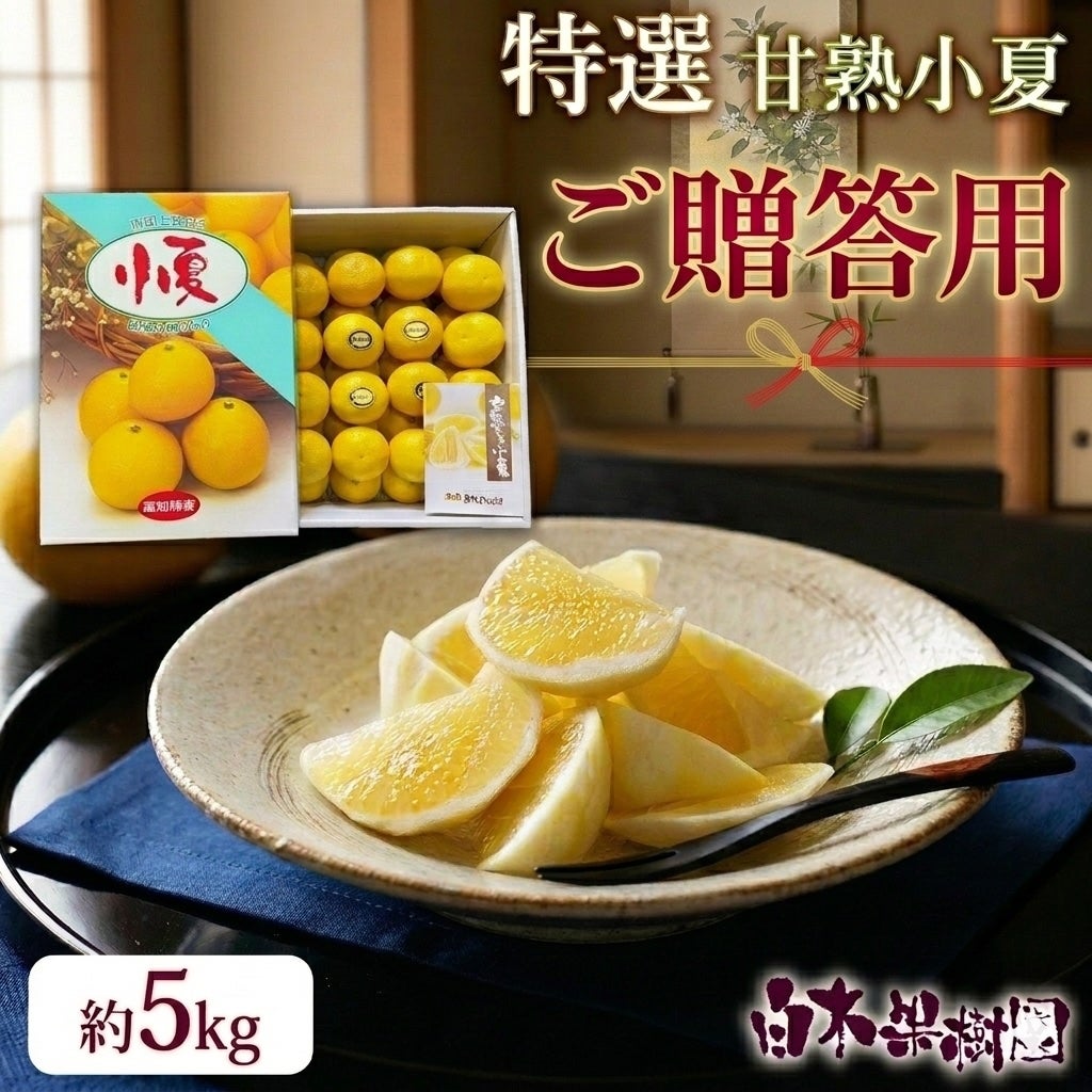 特選甘熟小夏 大箱