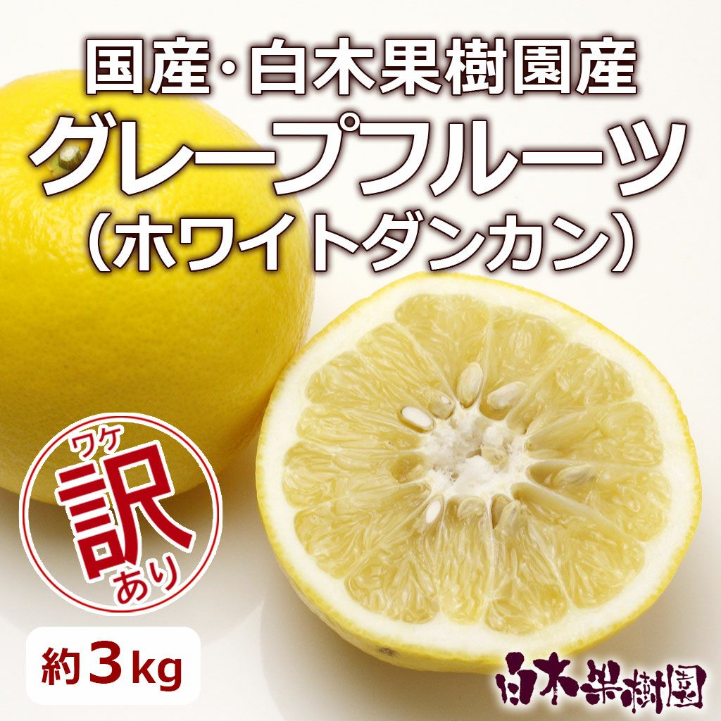 グレープフルーツ | 白木果樹園