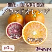 ブラッドオレンジ 秀品約3kg