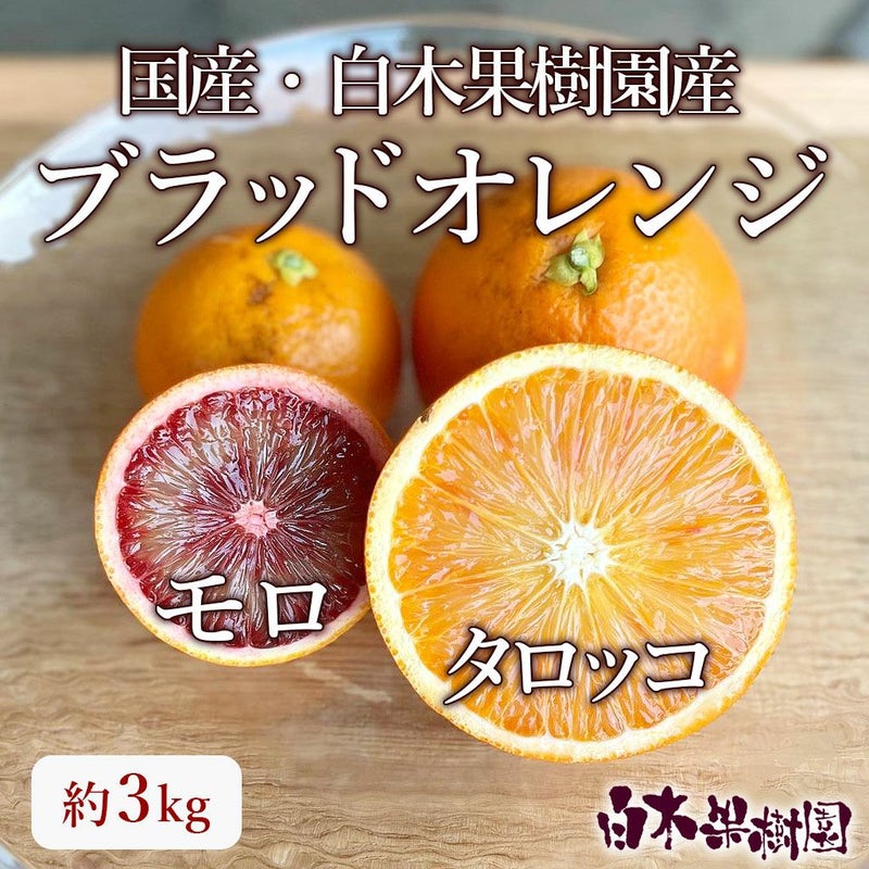 ブラッドオレンジ 秀品約3kg