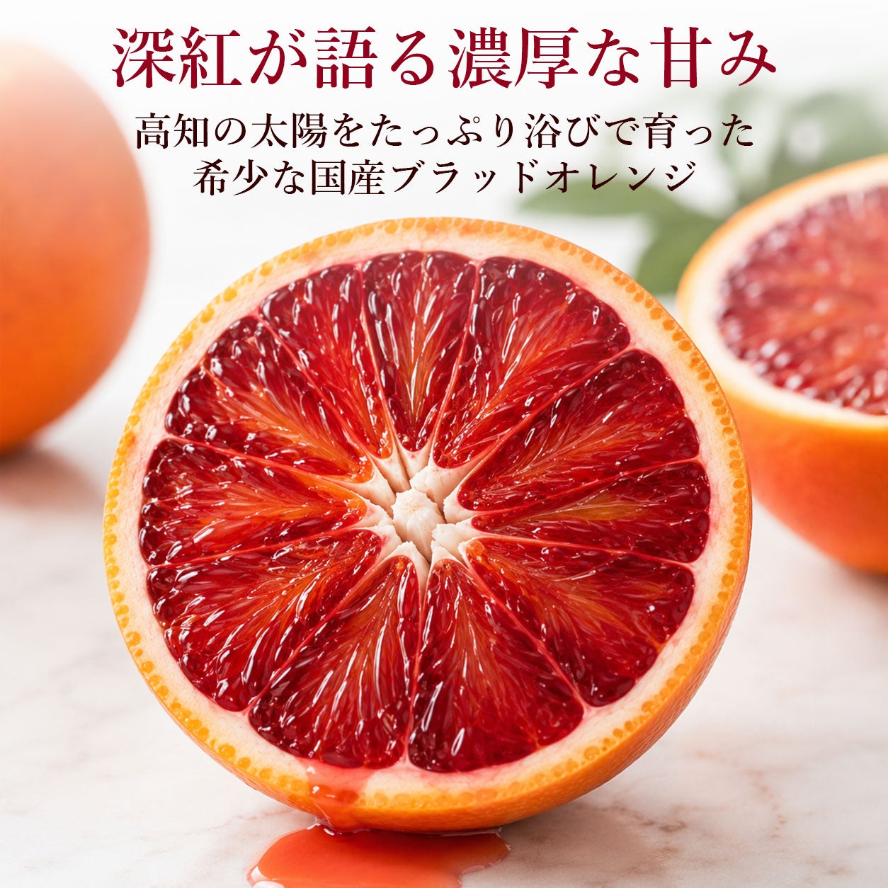 高知県産ブラッドオレンジ｜希少な国産モロ・タロッコを産地直送｜白木