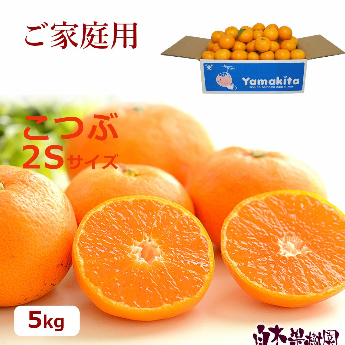 温州みかん（おきつ）こつぶ2Sサイズ約5kg【送料込】 | 白木果樹園