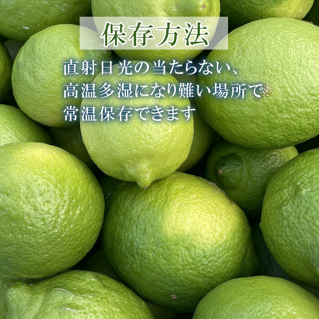 高知県産グリーンレモン 約1.5kg・2.5kg・5kg（グリーンレモン）【国産