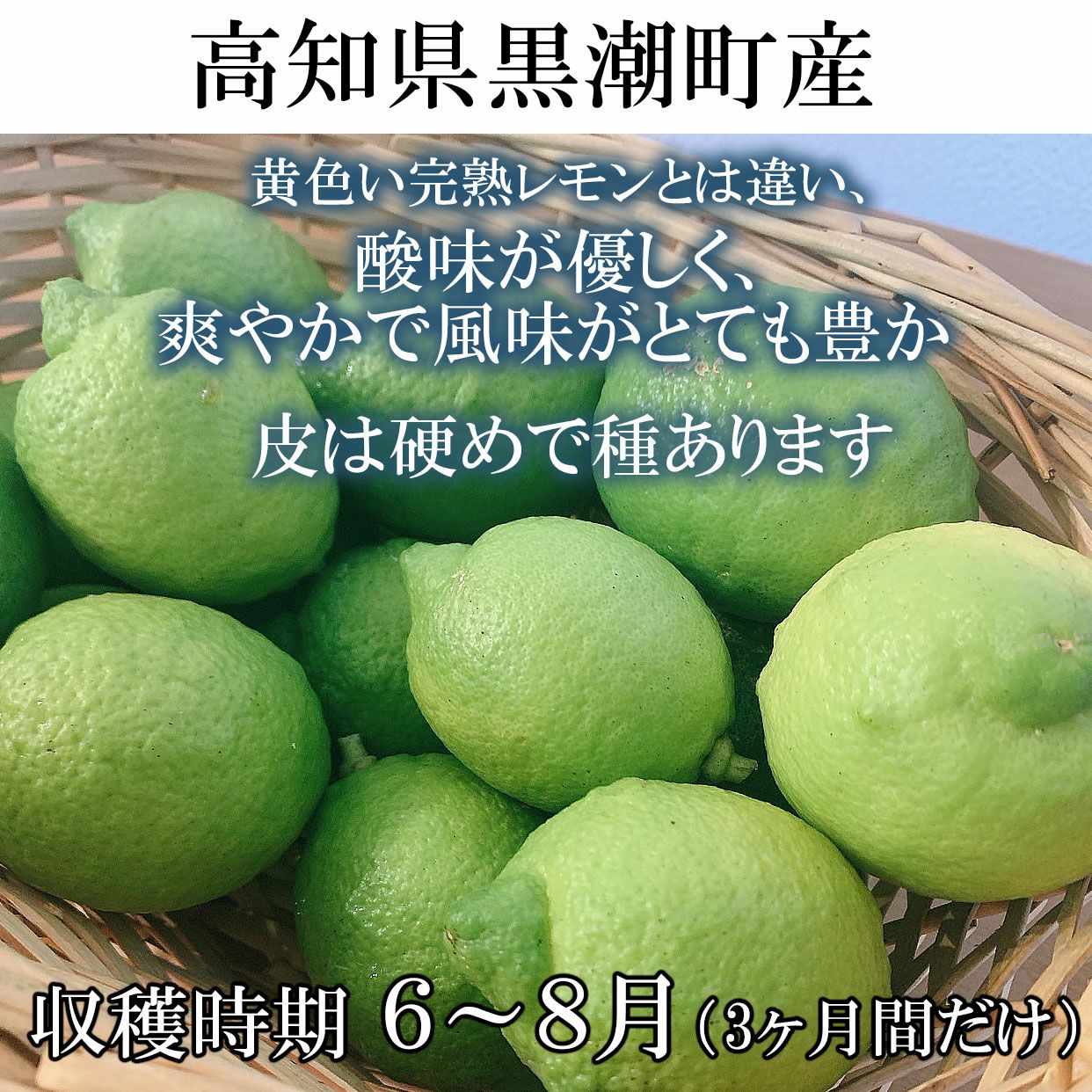 高知県産グリーンレモン 約1.5kg・2.5kg・5kg【国産】【送料込