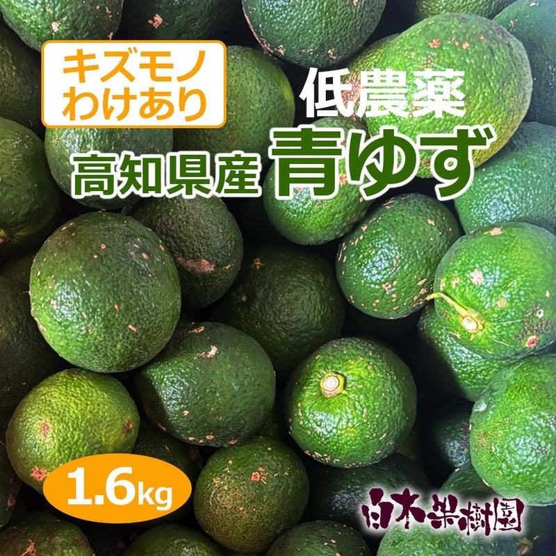 高知県産青ゆず　わけありキズモノ 約1.6kg 