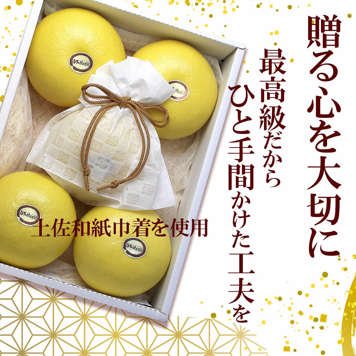 2高知特産 温室土佐文旦 ハウス 土佐文旦 文旦 3kg×8箱 温室土佐文旦（ハウス文旦）贈答用 中箱 約3kg（5～6個入）【送料込