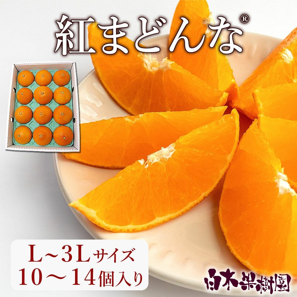 紅まどんなL～3Lサイズ【送料込】 | 白木果樹園