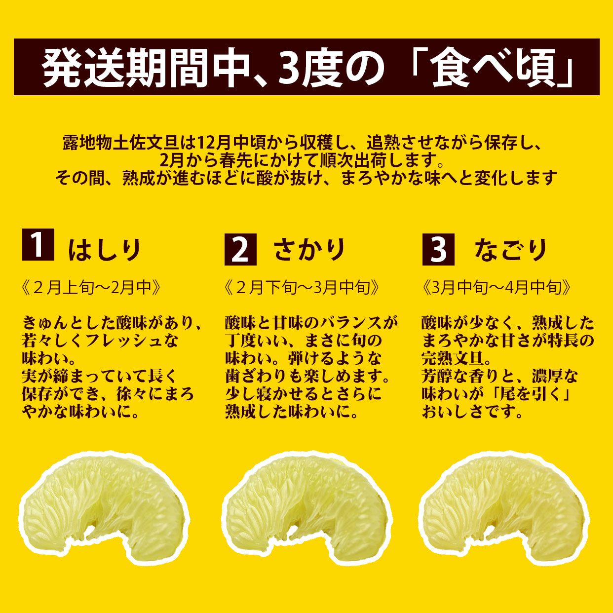 土佐文旦特選秀品3L大or4L特大約5kg【送料込】 | 白木果樹園