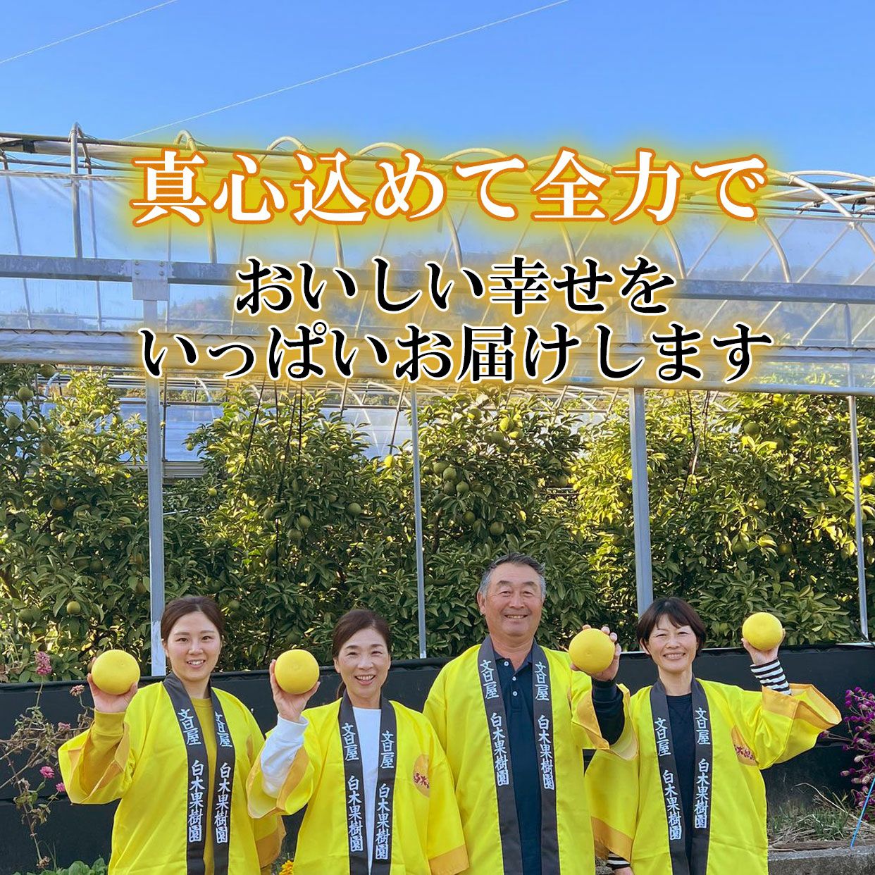 000000000404-12.jpg?size=l&w=