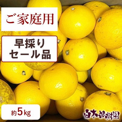 早採りわけあり小夏　ご家庭用セール品　約5kg