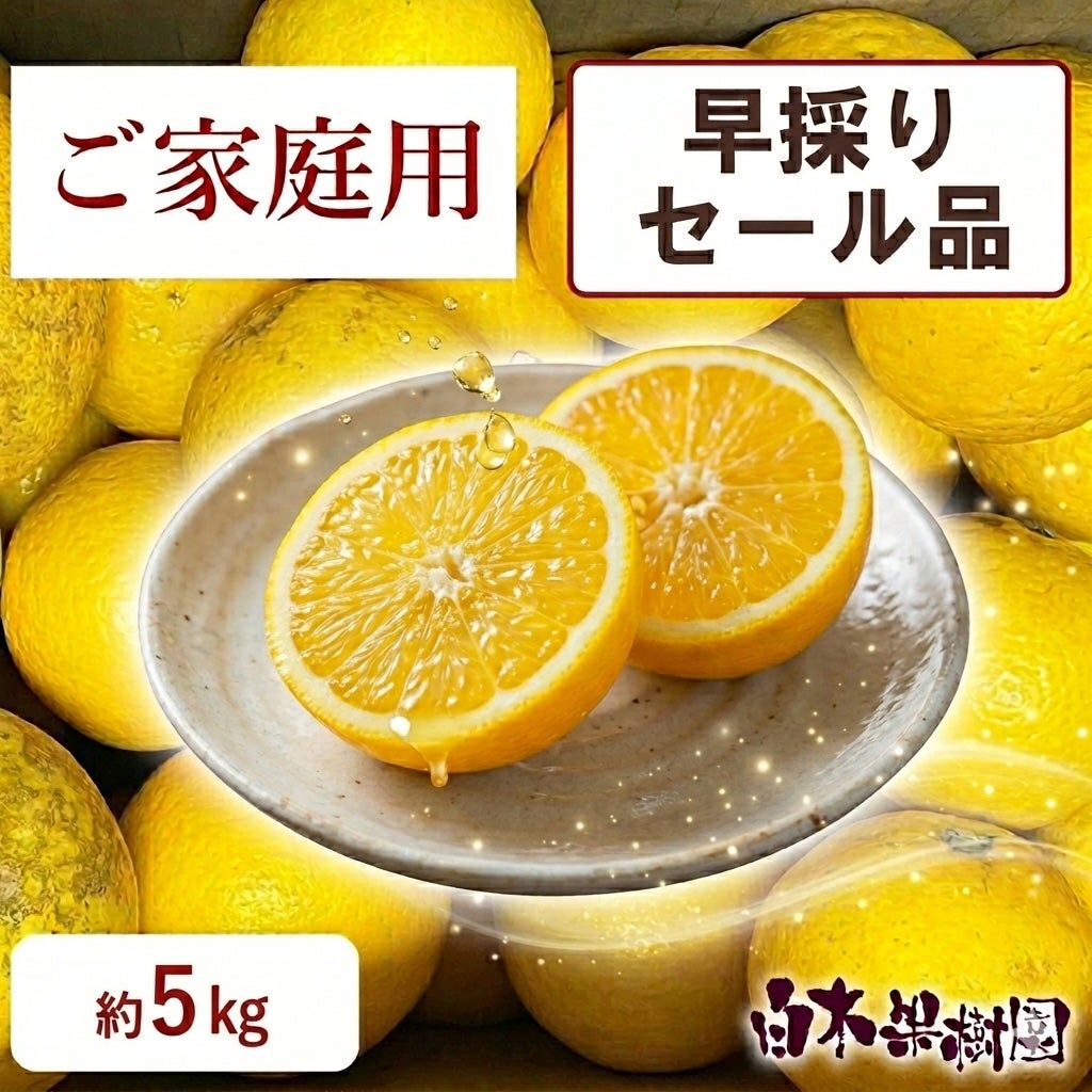 早採りわけあり小夏　ご家庭用セール品　約5kg