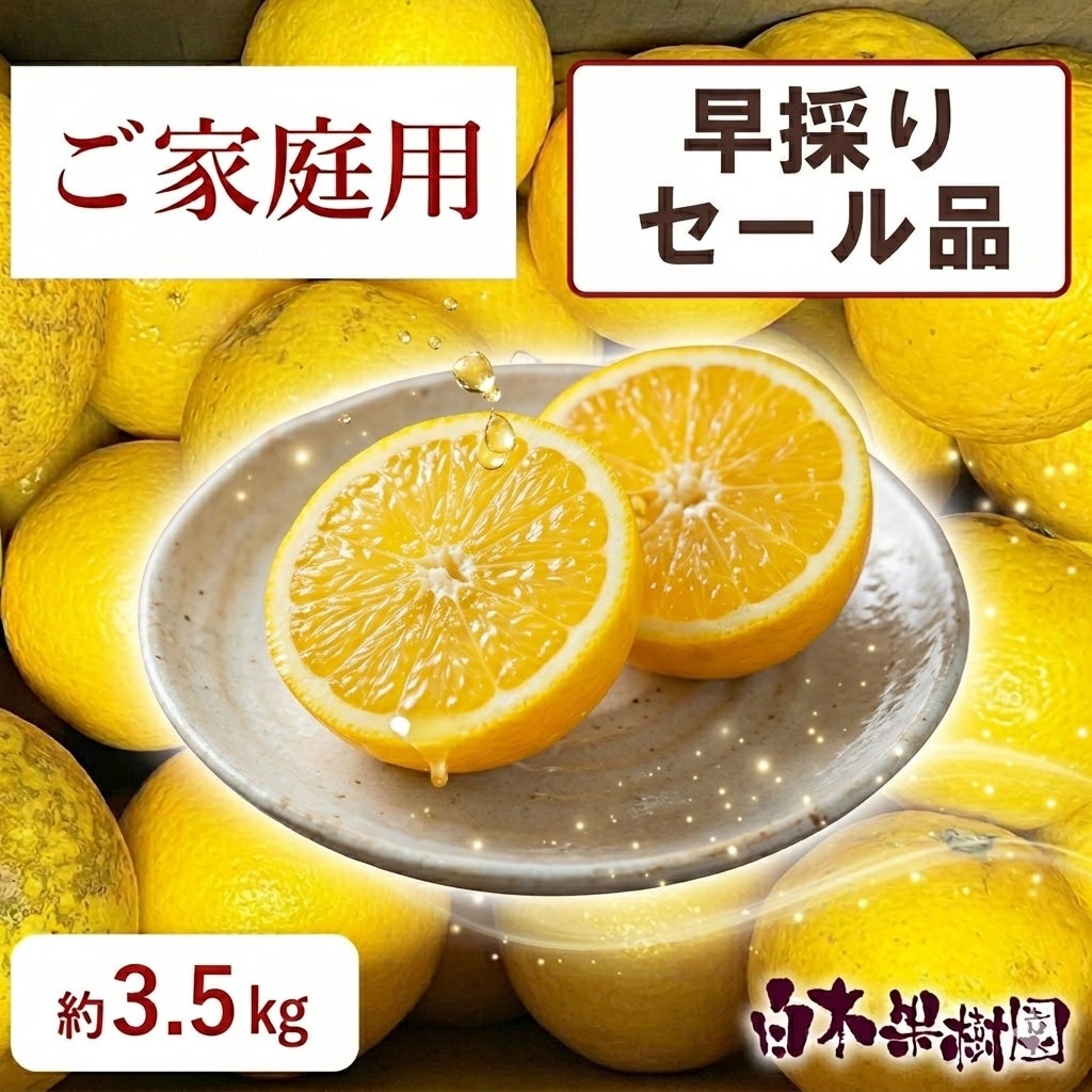 早採りわけあり小夏　ご家庭用セール品　約3.5kg