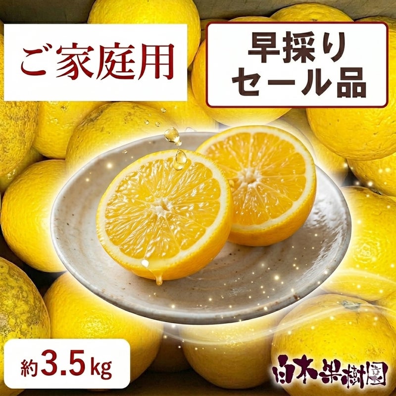 早採りわけあり小夏　ご家庭用セール品　約3.5kg