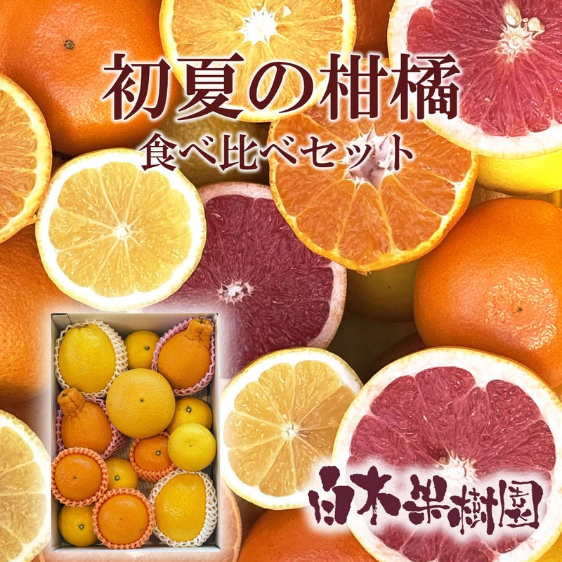【税・送料込み】初夏の柑橘食べ比べセット