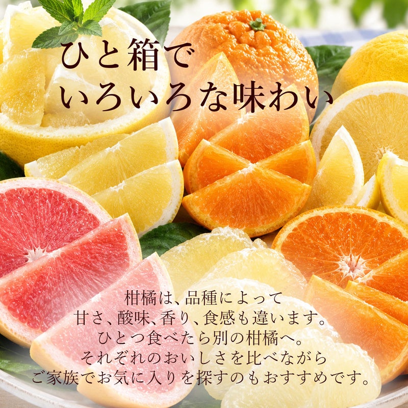 全体