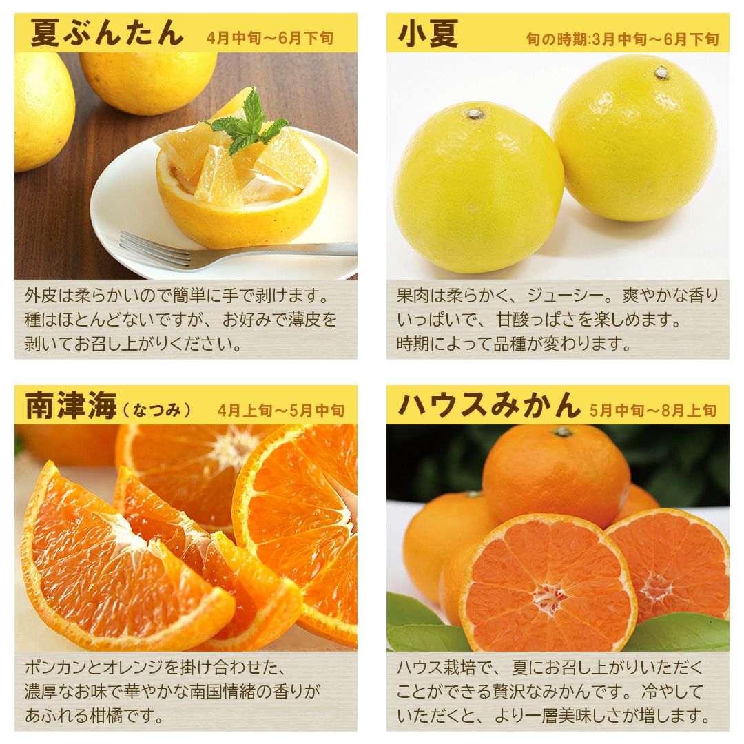 初夏の柑橘食べ比べセット【送料込】 | 白木果樹園