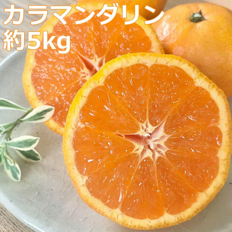 カラマンダリンご家庭用 約5kg | 白木果樹園