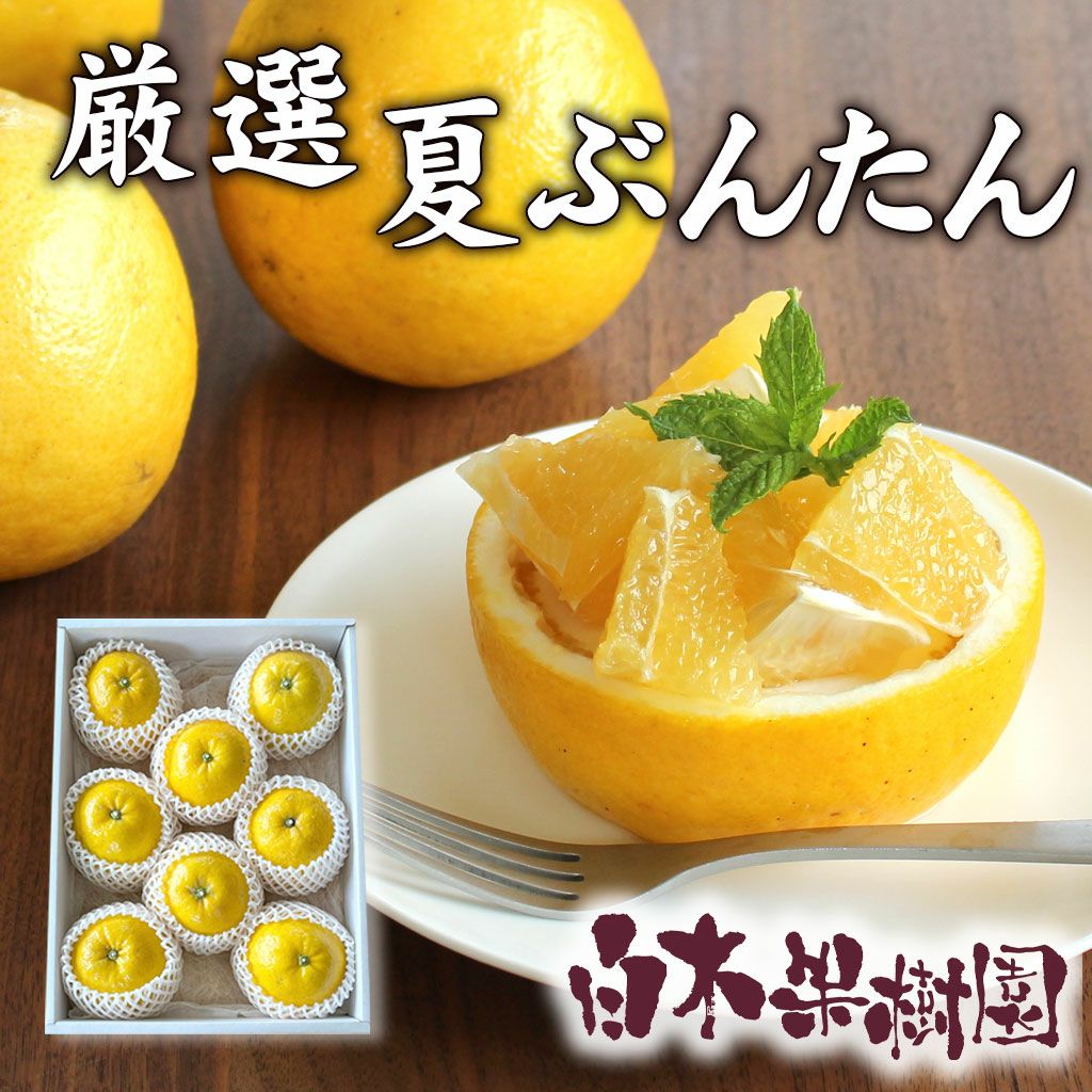 園主のおすすめ