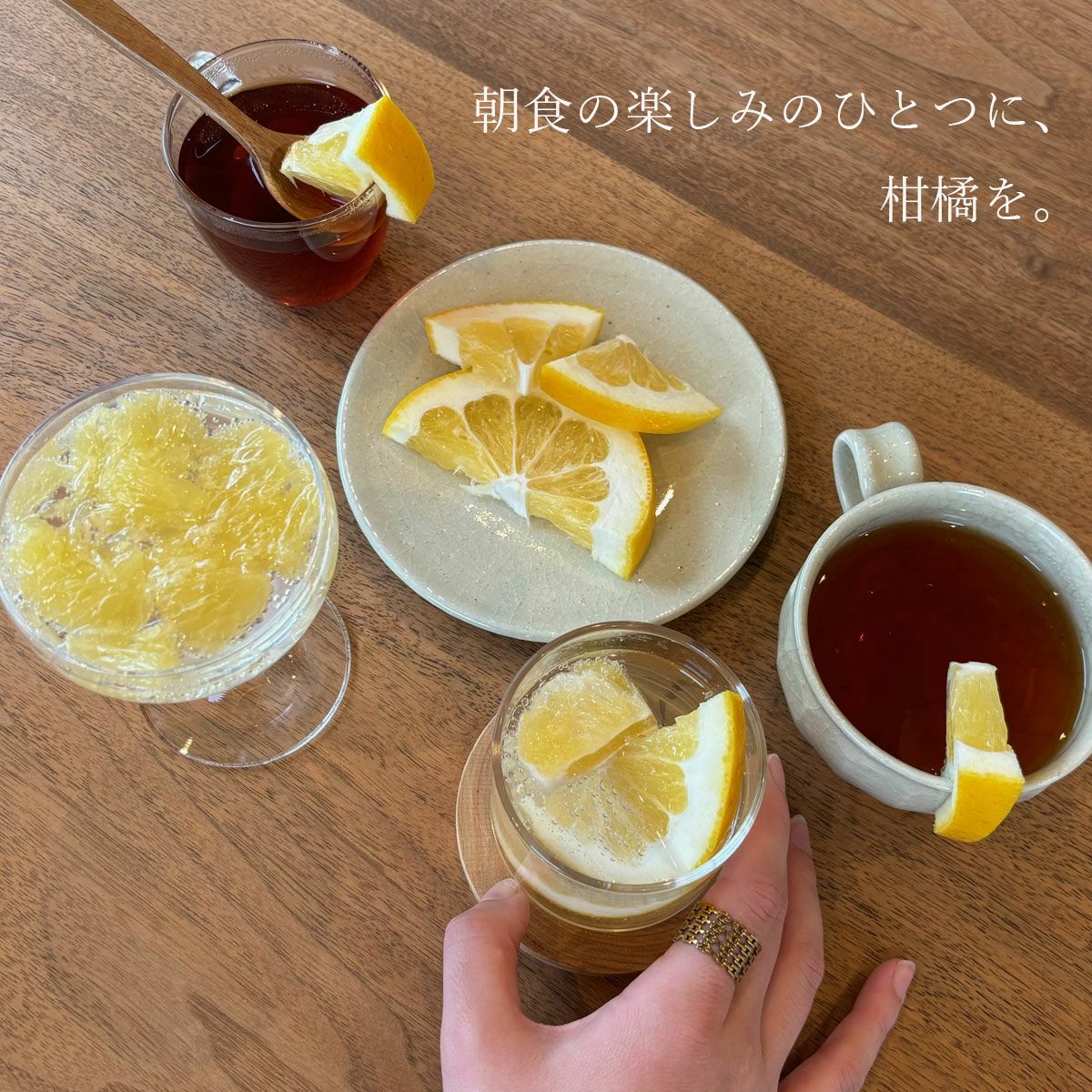 厳選夏ぶんたん化粧箱入りジューシーフルーツ【クール送料込】 | 白木